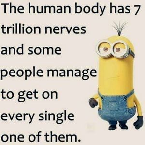 Meet your Posher, Renee